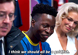 a GIF from Ted Lasso of Sam saying "I think we should all be a goldfish."