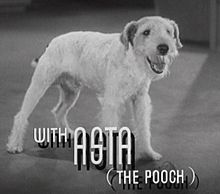 A photo of Skippy the dog with the text "with Asta (The Pooch)."