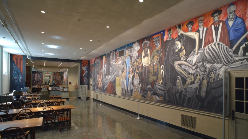The murals are part of a study room with long wooden tables and chairs.